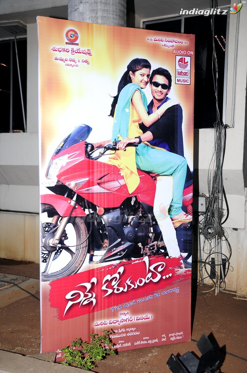 'Ninne Korukunta' Audio Launch