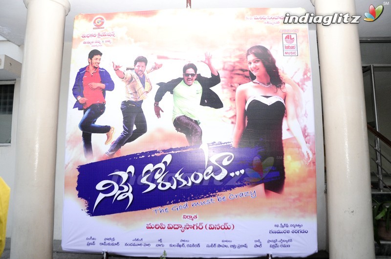 'Ninne Korukunta' Audio Launch