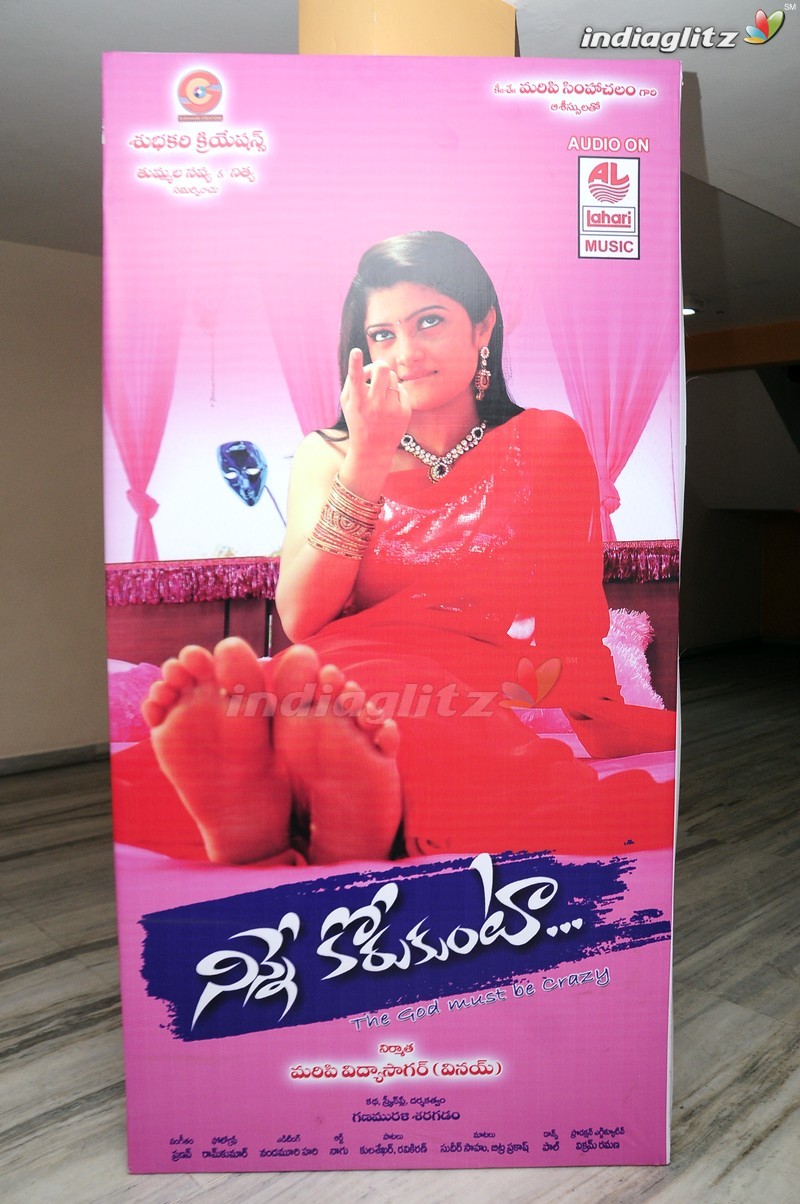 'Ninne Korukunta' Audio Launch