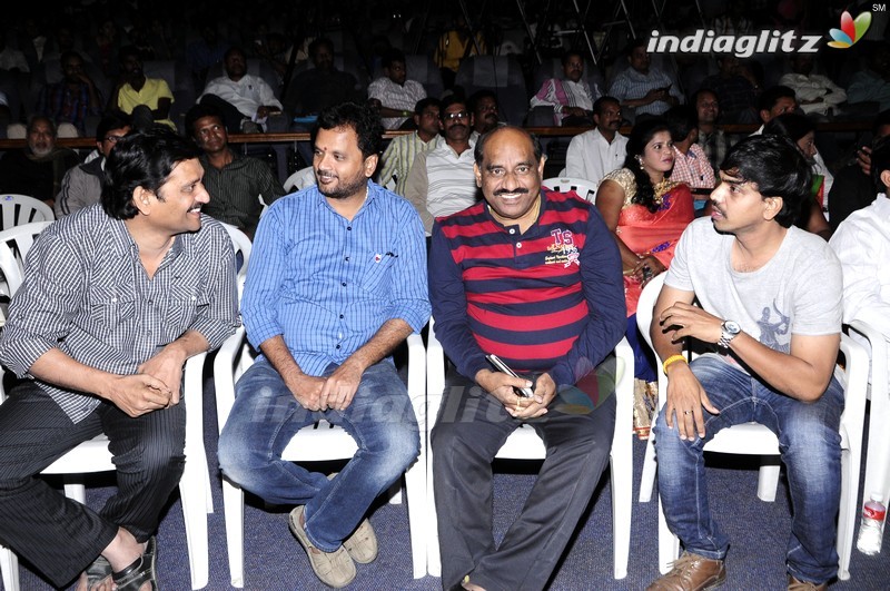 'Ninne Korukunta' Audio Launch