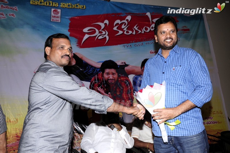 'Ninne Korukunta' Audio Launch