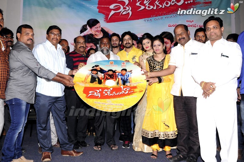 'Ninne Korukunta' Audio Launch