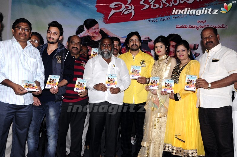 'Ninne Korukunta' Audio Launch