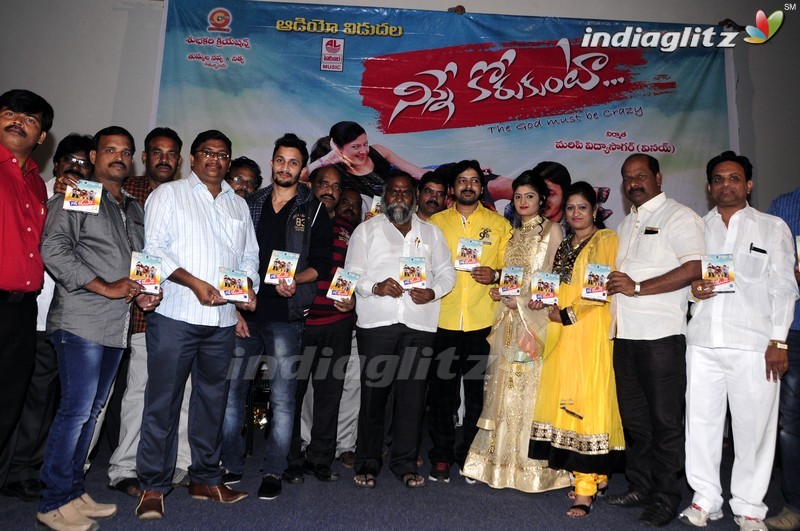 'Ninne Korukunta' Audio Launch