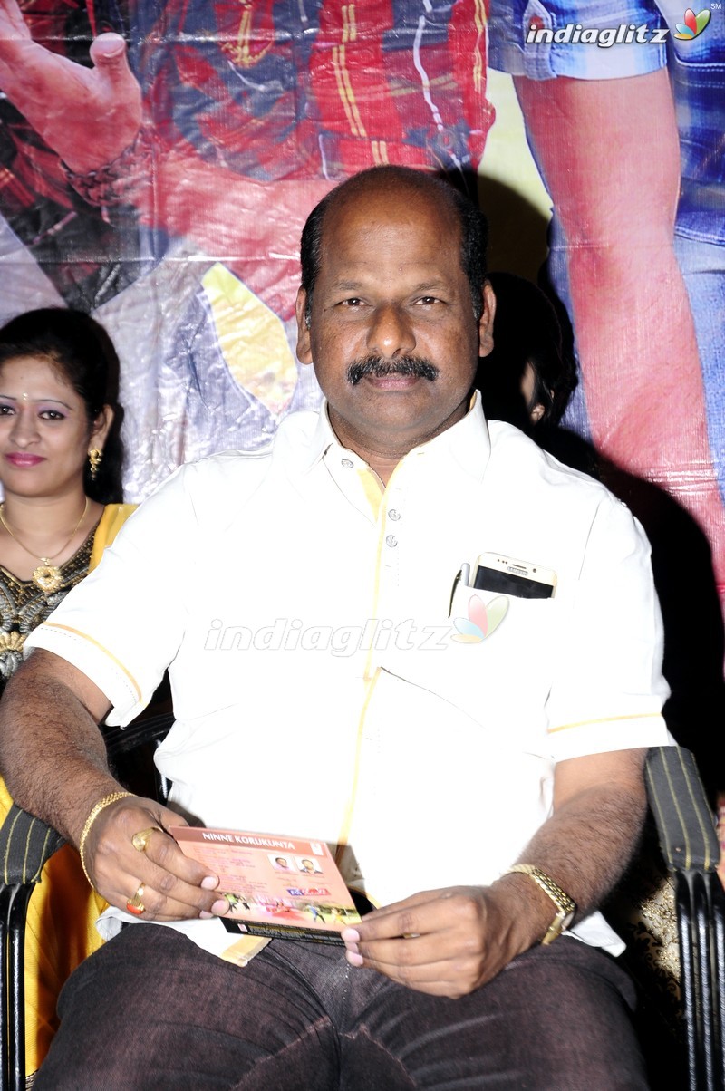 'Ninne Korukunta' Audio Launch