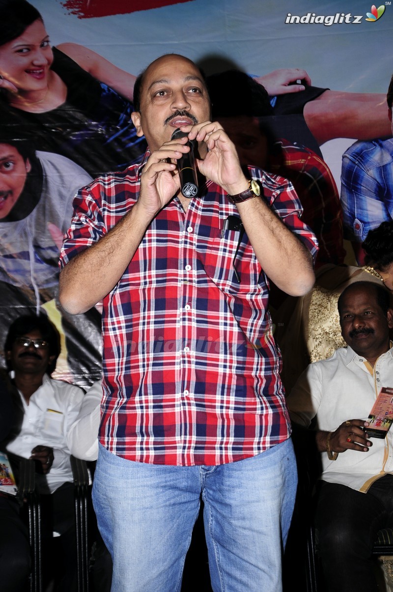 'Ninne Korukunta' Audio Launch