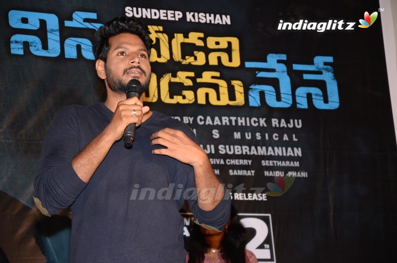 'Ninu Veedani Needanu Nene' Trailer Launch