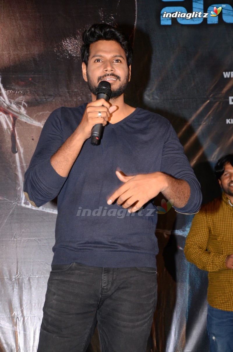 'Ninu Veedani Needanu Nene' Trailer Launch