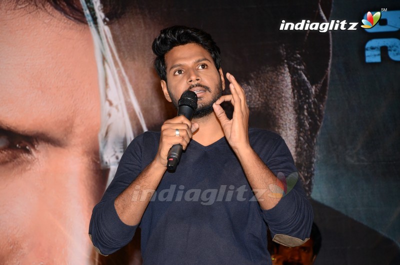 'Ninu Veedani Needanu Nene' Trailer Launch