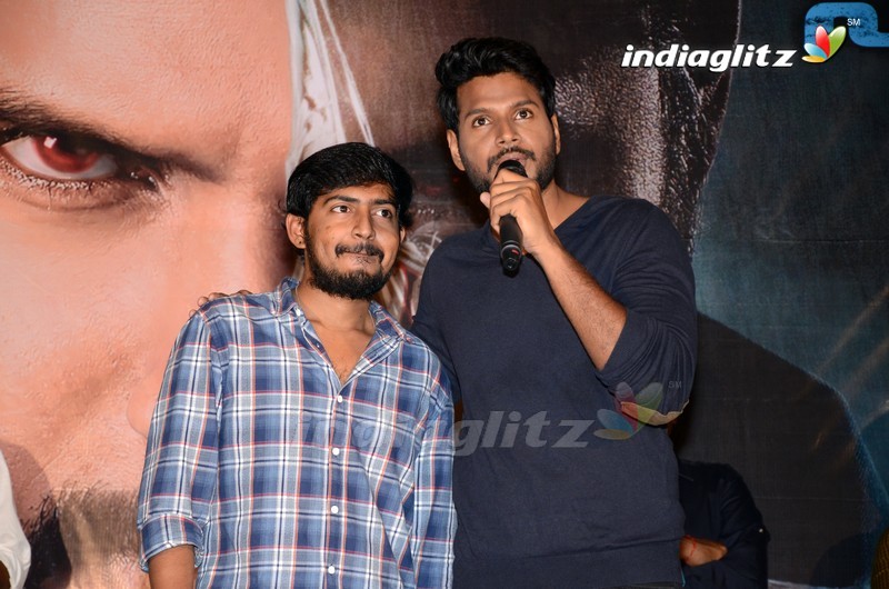 'Ninu Veedani Needanu Nene' Trailer Launch