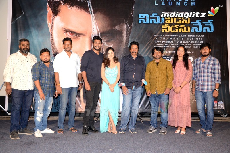 'Ninu Veedani Needanu Nene' Trailer Launch