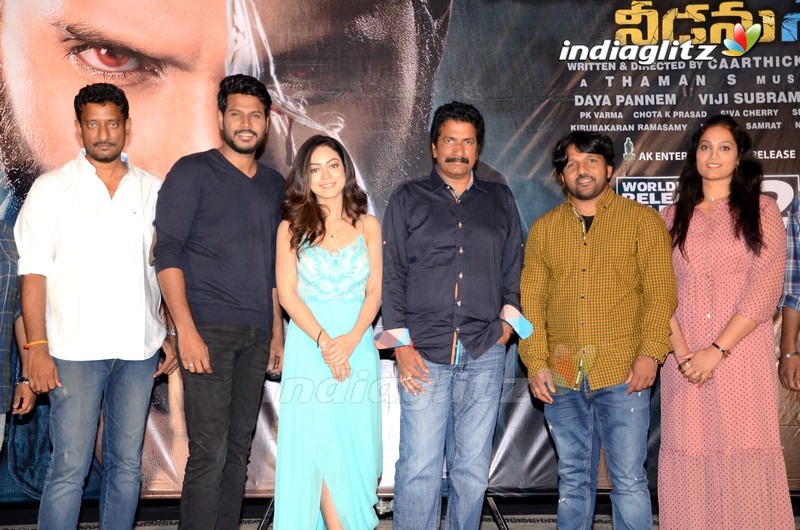 'Ninu Veedani Needanu Nene' Trailer Launch