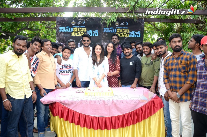 'Ninu Veedani Needanu Nene' Success Celebrations