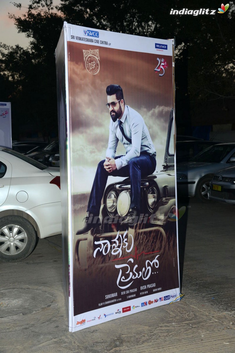 'Nannaku Prematho' Audio Launch (Set-1)