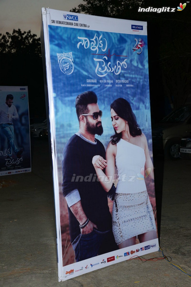 'Nannaku Prematho' Audio Launch (Set-1)