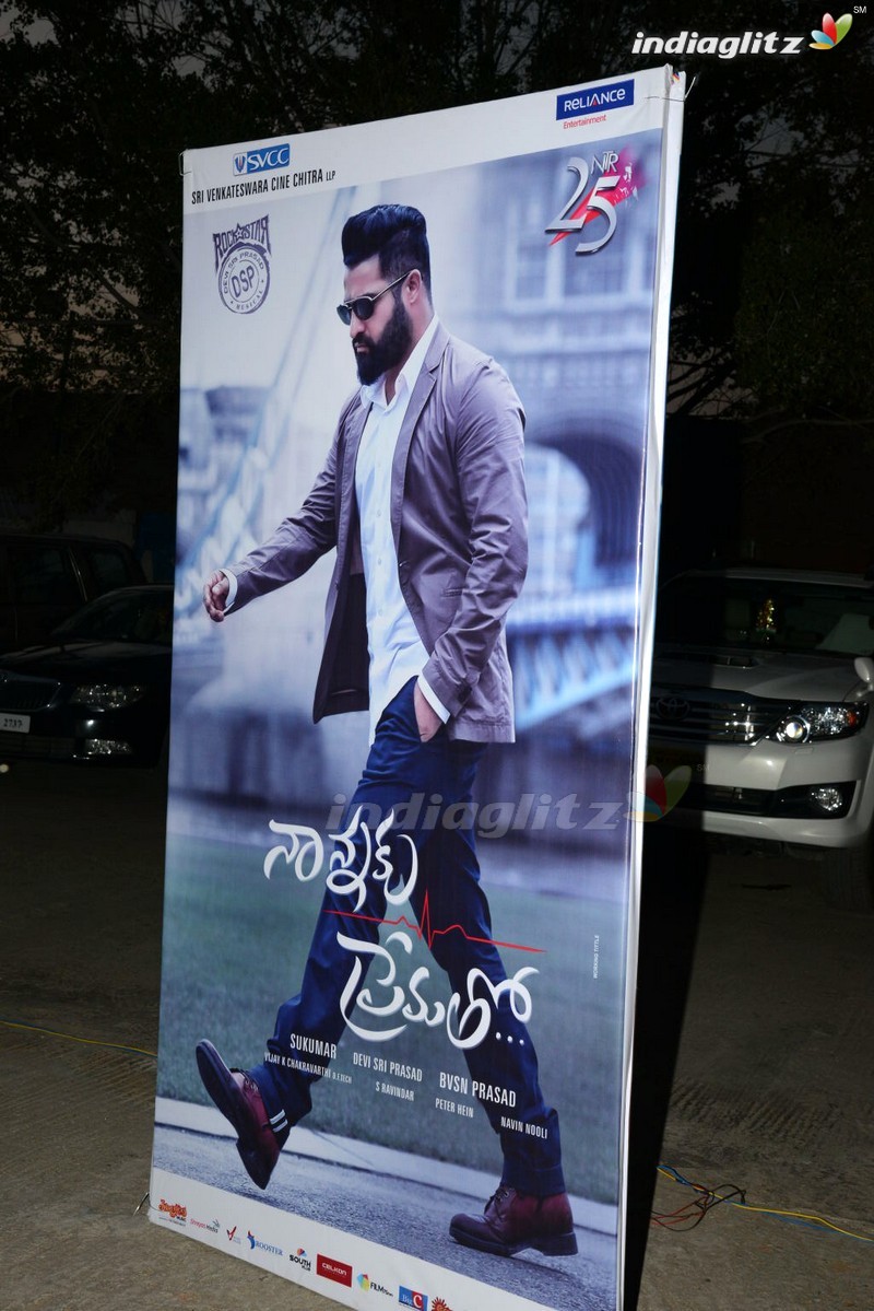 'Nannaku Prematho' Audio Launch (Set-1)