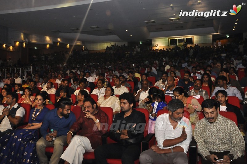 'Nannaku Prematho' Audio Launch (Set-1)