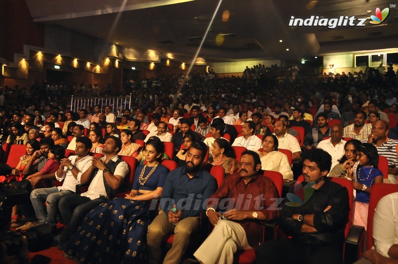 'Nannaku Prematho' Audio Launch (Set-1)