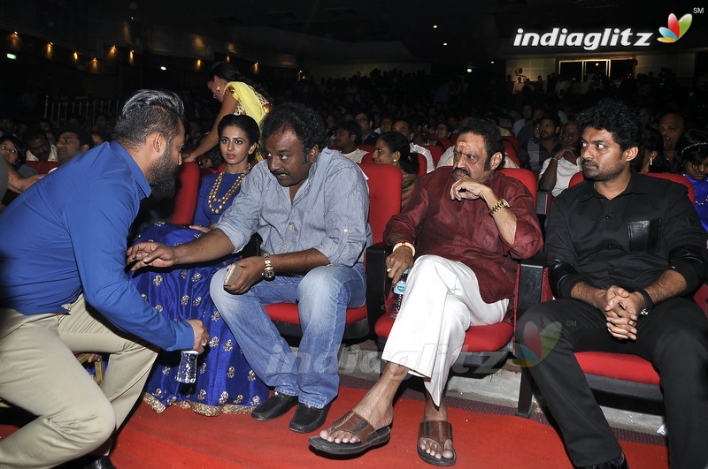 'Nannaku Prematho' Audio Launch (Set-1)