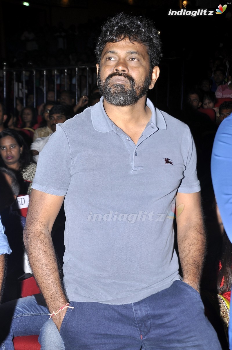 'Nannaku Prematho' Audio Launch (Set-1)