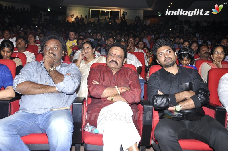 'Nannaku Prematho' Audio Launch (Set-1)