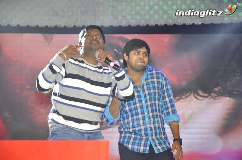 'Nannaku Prematho' Audio Launch (Set-1)