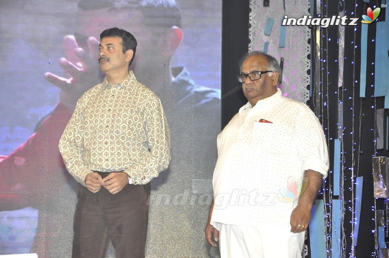 'Nannaku Prematho' Audio Launch (Set-2)