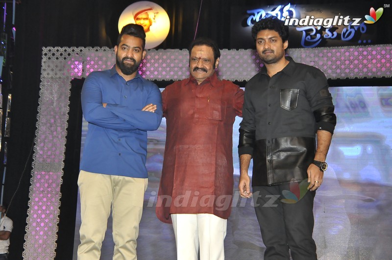 'Nannaku Prematho' Audio Launch (Set-2)