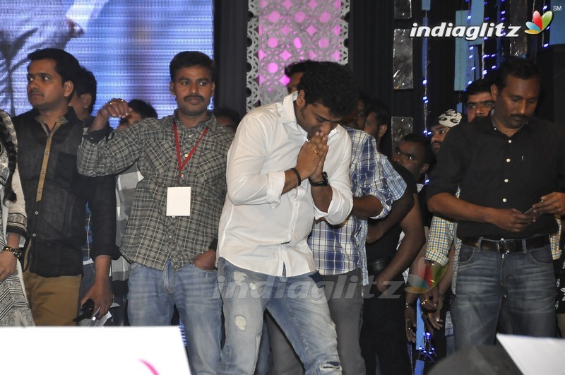 'Nannaku Prematho' Audio Launch (Set-2)