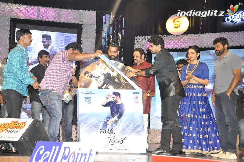 'Nannaku Prematho' Audio Launch (Set-2)