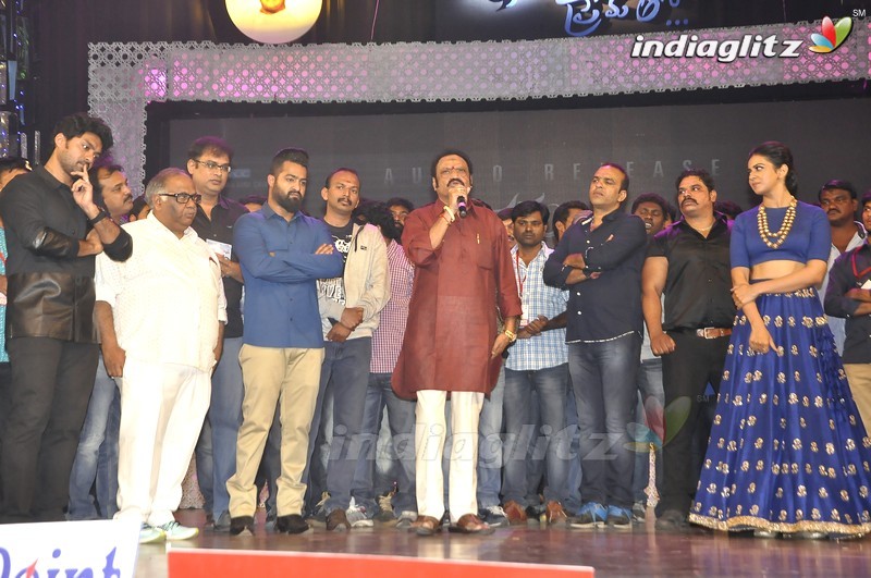 'Nannaku Prematho' Audio Launch (Set-2)