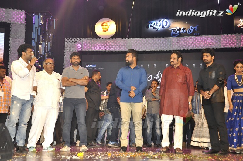 'Nannaku Prematho' Audio Launch (Set-2)