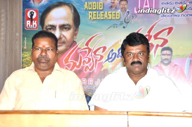 'Nuvvena Adi Neevena' Audio Launch