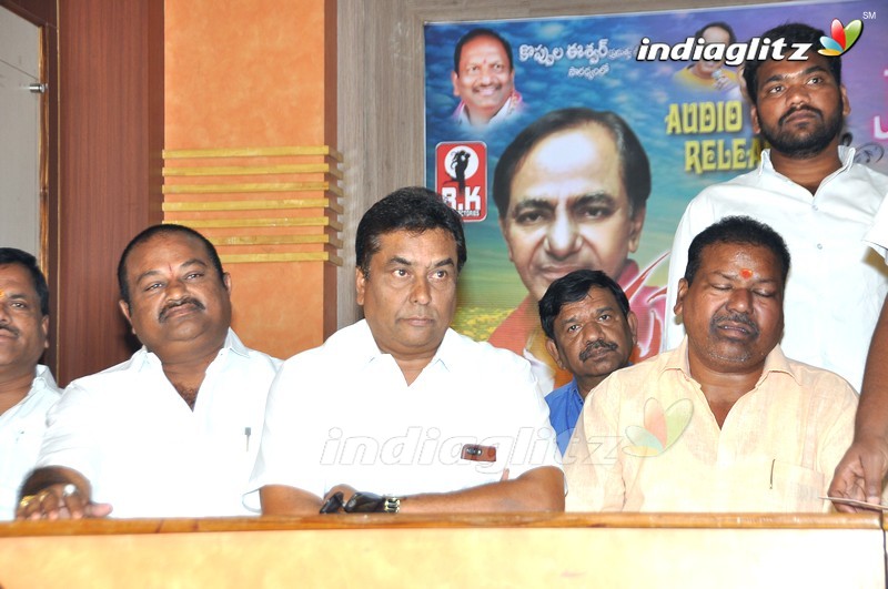 'Nuvvena Adi Neevena' Audio Launch