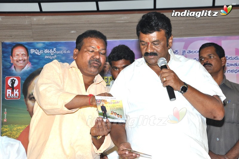 'Nuvvena Adi Neevena' Audio Launch