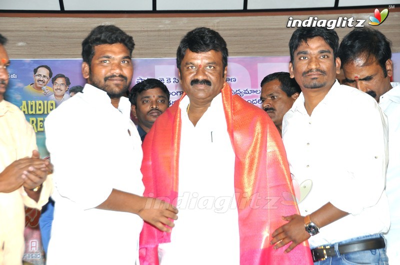 'Nuvvena Adi Neevena' Audio Launch