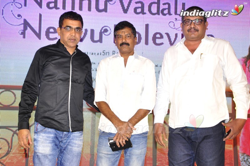 'Nannu Vadili Neevu Polevule' Audio Launch