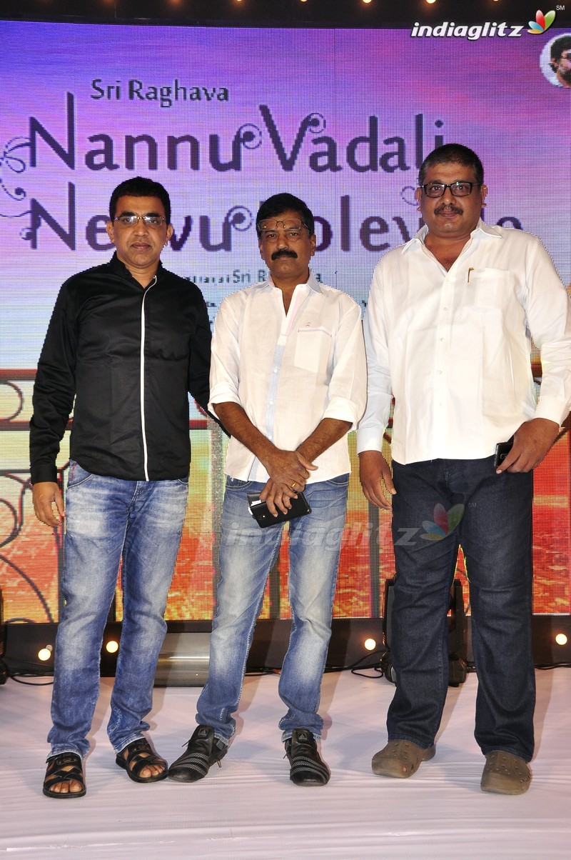 'Nannu Vadili Neevu Polevule' Audio Launch