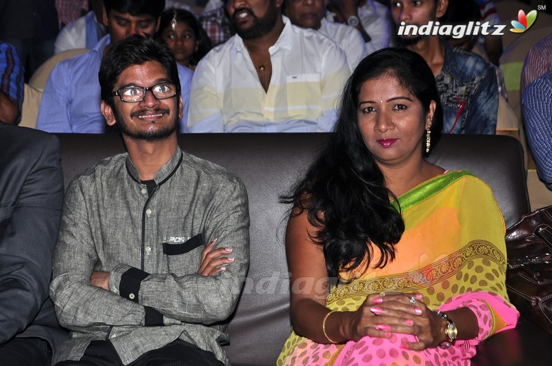 'Nannu Vadili Neevu Polevule' Audio Launch