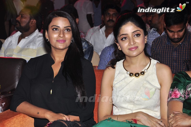 'Nannu Vadili Neevu Polevule' Audio Launch