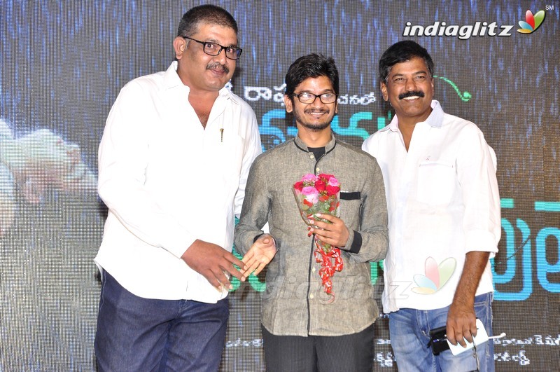 'Nannu Vadili Neevu Polevule' Audio Launch