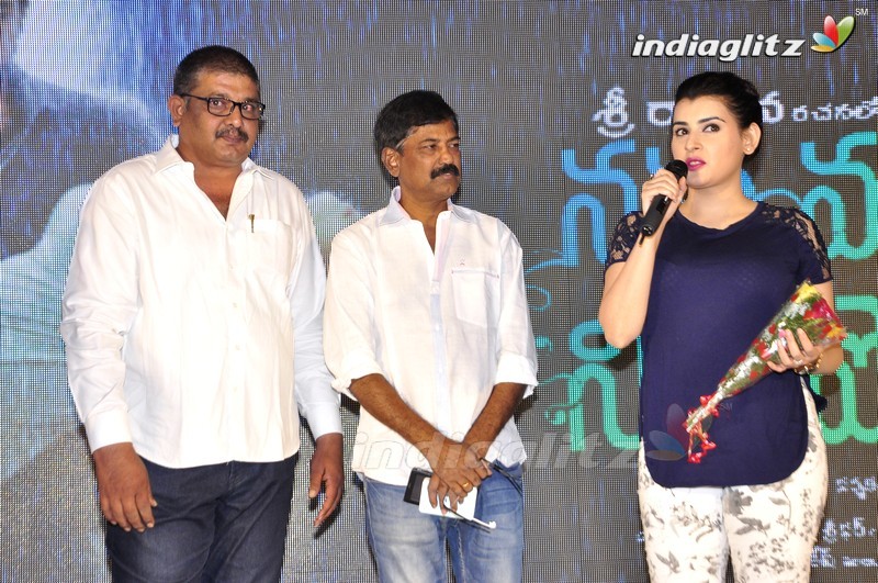 'Nannu Vadili Neevu Polevule' Audio Launch