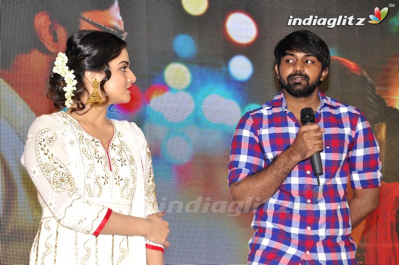 'Nannu Vadili Neevu Polevule' Audio Launch