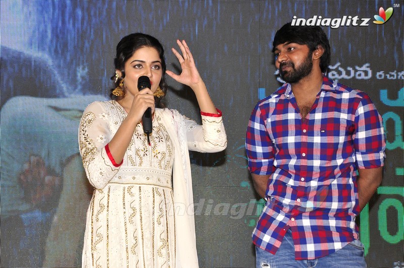 'Nannu Vadili Neevu Polevule' Audio Launch