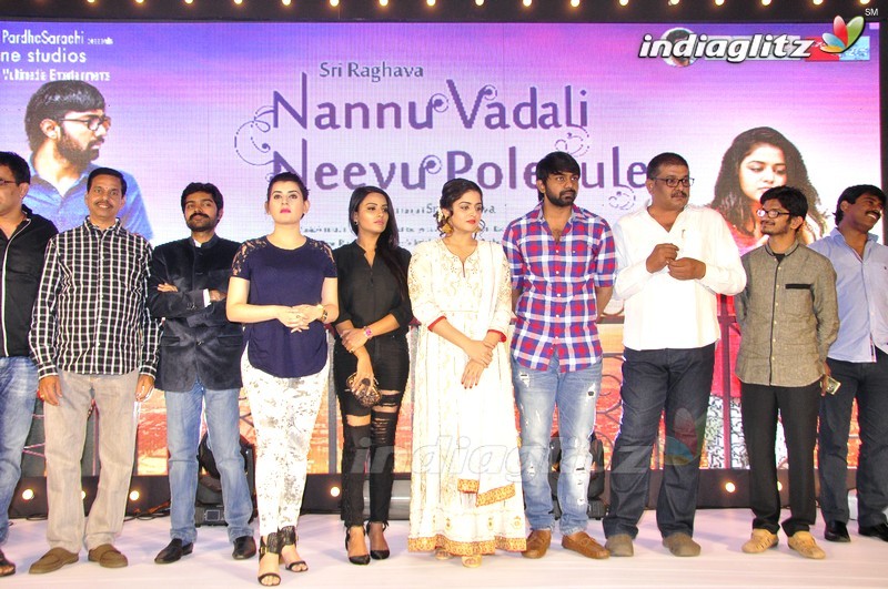 'Nannu Vadili Neevu Polevule' Audio Launch