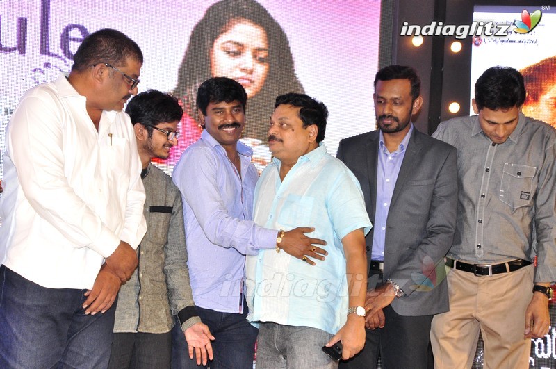 'Nannu Vadili Neevu Polevule' Audio Launch