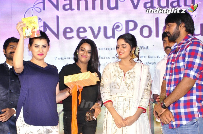 'Nannu Vadili Neevu Polevule' Audio Launch