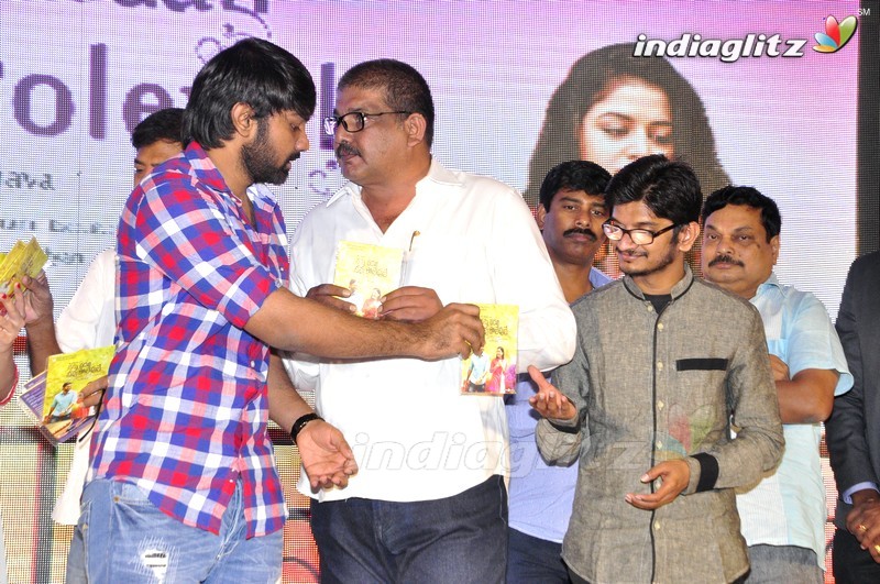 'Nannu Vadili Neevu Polevule' Audio Launch