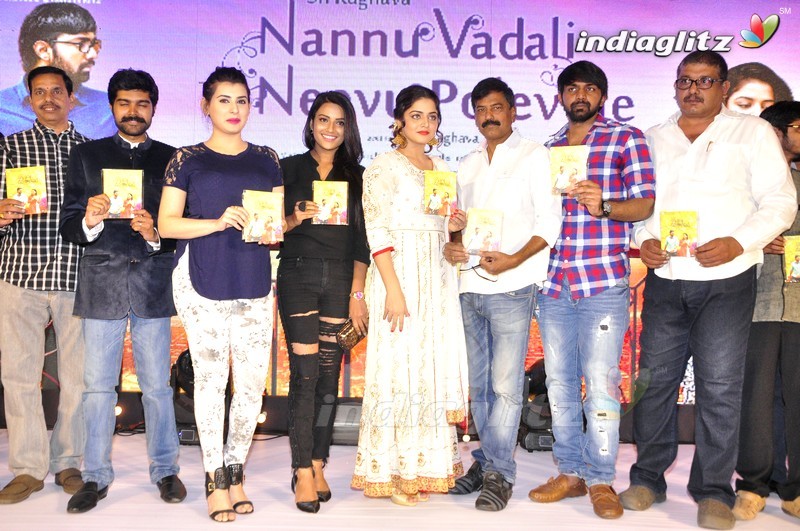 'Nannu Vadili Neevu Polevule' Audio Launch