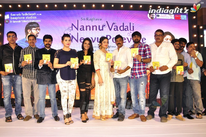 'Nannu Vadili Neevu Polevule' Audio Launch